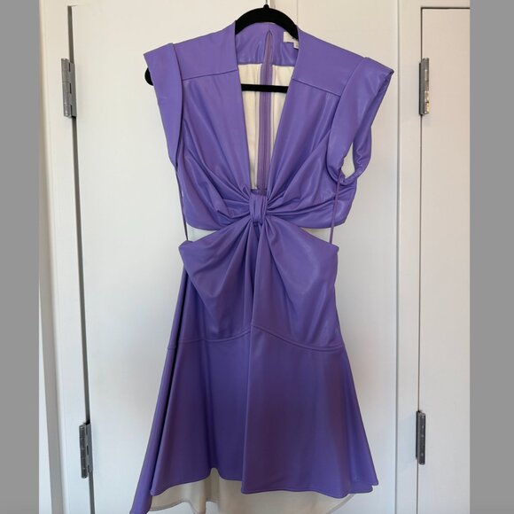 ALC Lexi Coated Cut Out Mini Dress - Picture 4 of 5